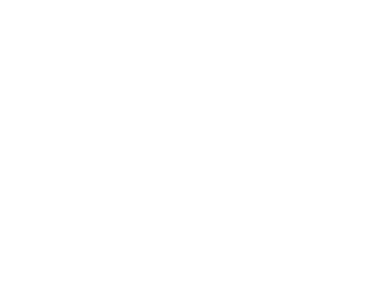 A V Print Vision